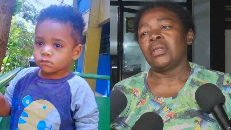 Criança morre ao ser esquecida dentro de van em São Paulo