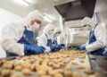 Produção industrial se manteve estável ou em crescimento na maioria das empresas de MS