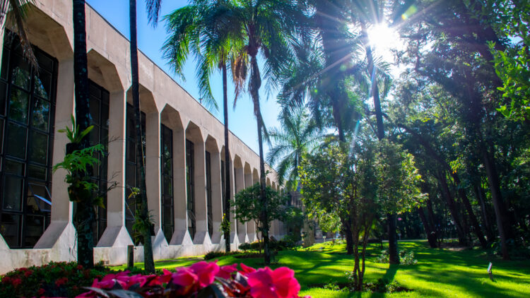 Tribunal Pleno aprecia 383 processos na 15ª sessão ordinária virtual