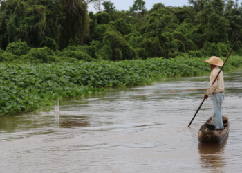Lei do Pantanal e o avanço da pauta “Pagamentos por Serviços Ambientais (PSA)”
