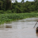 Lei do Pantanal e o avanço da pauta “Pagamentos por Serviços Ambientais (PSA)”