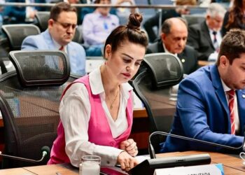 Para segurança de cidadãos, Mara Caseiro pede melhorias de trecho entre Juti e Vicentina