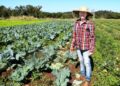 Prefeitura de Campo Grande aposta no futuro com ações para o desenvolvimento econômico e sustentável