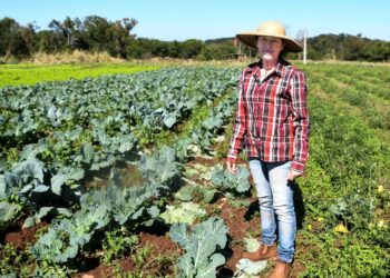 Prefeitura de Campo Grande aposta no futuro com ações para o desenvolvimento econômico e sustentável