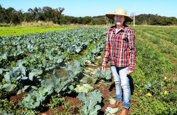 Prefeitura de Campo Grande aposta no futuro com ações para o desenvolvimento econômico e sustentável