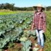Prefeitura de Campo Grande aposta no futuro com ações para o desenvolvimento econômico e sustentável