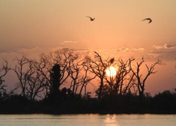 Calorão perde força em MS com aumento de nebulosidade nesta terça-feira