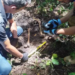 Cadela Laika encontra ossada humana que pode ser de homem morto por ex-cunhados, em MS
