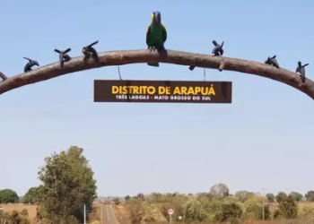 Idoso morre, após 6 dias internado devido a uma cabeçada de vaca, em MS