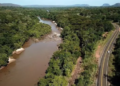 Homem é encontrado morto em terra arada perto da MS-450 e destroços de veículo são encontrados