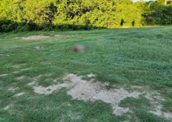 Mulher é morta no interior de MS e pode ter sido vítima do “tribunal do crime”