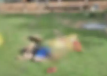 Colega mata o outro com tiro na boca durante confraternização em fazenda