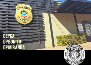 Dois são presos por tráfego de grande quantidade de material de abuso sexual infantil