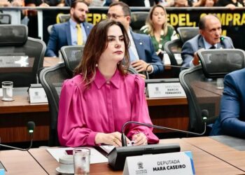 Desenvolvimento da educação e combate à violência foram destaques do mandato de deputada, em 2023