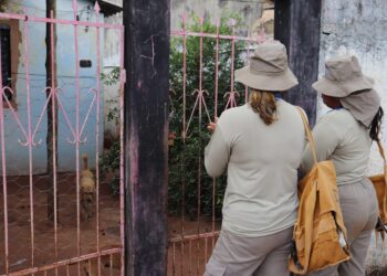Operação Mosquito Zero: Prefeitura realiza mutirão de combate ao Aedes neste sábado no Bairro Rita Vieira