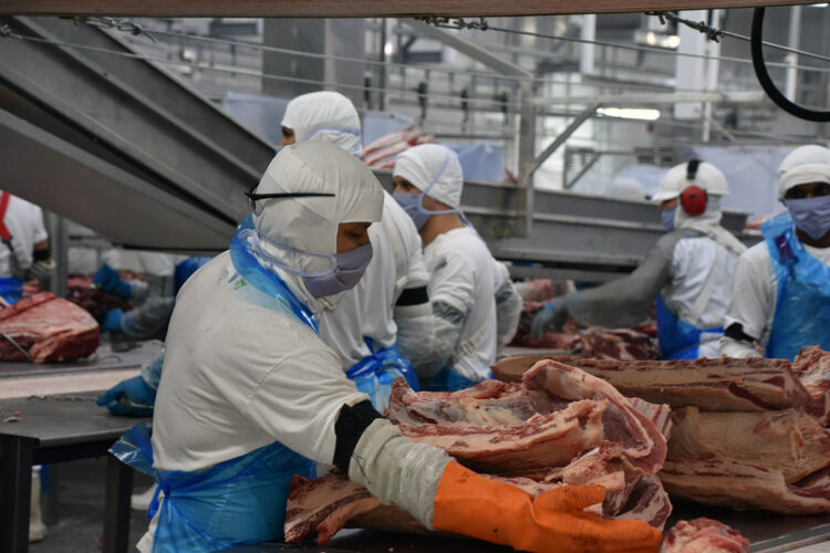 Indústria de MS já gerou mais de 11,4 mil novos postos de trabalho de janeiro a outubro de 2023
