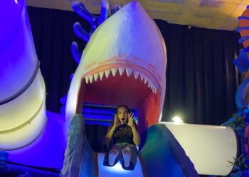 Passeio com tubarões até o fundo do mar pode ser opção para pequenos, em Campo Grande