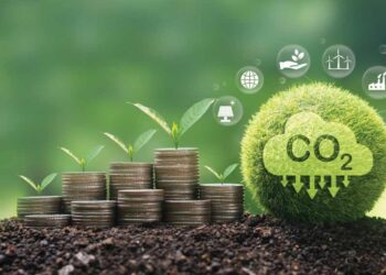 Desvendando o Mercado de Carbono: estratégias e potenciais para reduzir os impactos das mudanças climáticas