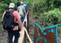 Trilha Regeneração é exposição a céu aberto da restauração do Pantanal após os incêndios de 2020