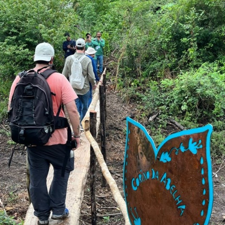 Trilha Regeneração é exposição a céu aberto da restauração do Pantanal após os incêndios de 2020