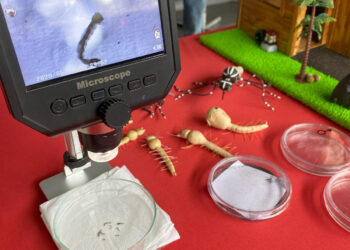 Parceria entre Prefeitura e rede de supermercados lança campanha Anti-Mosquito