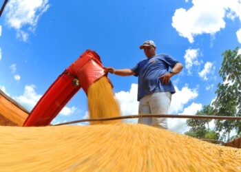 Exportações de MS batem recorde, crescem 28,1% e chegam a US$ 10,517 bilhões em 2023