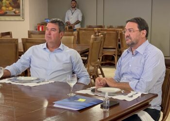 Longen e Riedel alinham ações em prol da indústria de MS em 2024