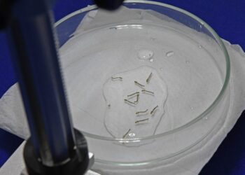 Para fortalecer o enfrentamento da dengue em MS, SES oferece capacitação sobre ‘Manejo Clínico da Dengue’