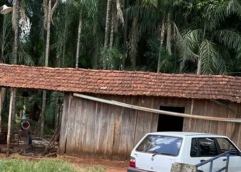 Genro tenta matar idosa de 73 anos, que agoniza 18 horas até receber socorro, em MS