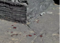 Rapaz que voltava de festa é encontrado morto com tiro no pescoço, no Santo Eugênio