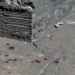Rapaz que voltava de festa é encontrado morto com tiro no pescoço, no Santo Eugênio