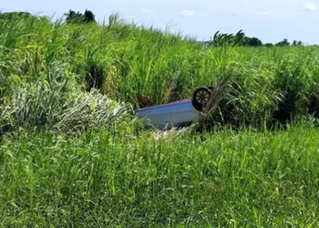 Rapaz é encontrado morto em carro capotado e ao lado do corpo, cachorrinho ainda vivo