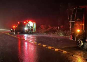 Condutor desvia de porco na BR-163, capota veículo e morre, em MS
