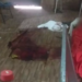 Filho encontra pai morto com sinais de golpes de faca e pauladas na cabeça, em MS