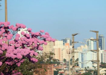 Sábado de sol tem aumento de temperaturas como destaque em MS