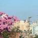 Sábado de sol tem aumento de temperaturas como destaque em MS