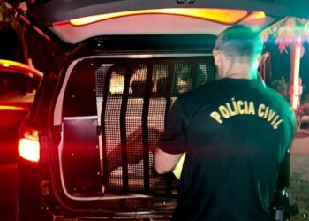 Marido é preso, após agredir esposa com panela de pressão, em MS
