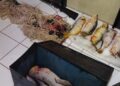Em 15 dias, 5 são presos com pescado ilegal e petrechos de pesca no interior de MS