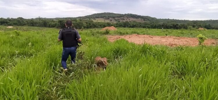 Em menos de 1 hora após homem arremessar xícara no rosto da esposa, polícia o prende