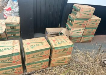 Dois são presos por saquear carga de óleo de cozinha avaliada em R$ 150 mil, em MS