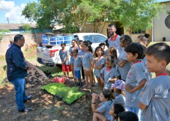Hortas sociais administradas pela Prefeitura crescem em 50%, em Campo Grande