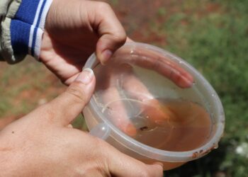 Prefeitura faz mutirão de combate à Dengue em bairro com alto índice de infestação
