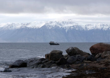 Vírus ‘zombies’ congelados na Sibéria podem causar novas pandemias