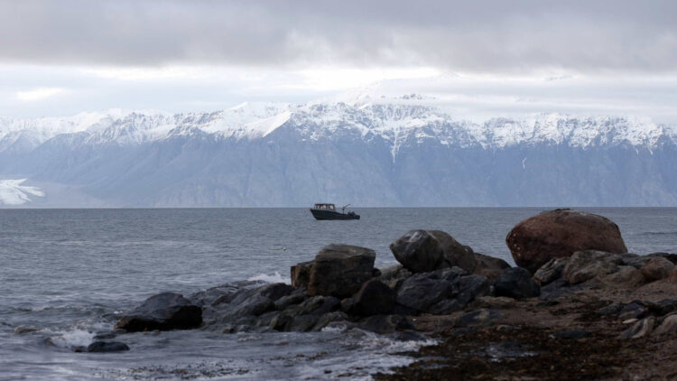 Vírus ‘zombies’ congelados na Sibéria podem causar novas pandemias