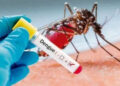Inicie o ano com saúde: Combata o mosquito e evite complicações