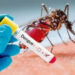 Inicie o ano com saúde: Combata o mosquito e evite complicações