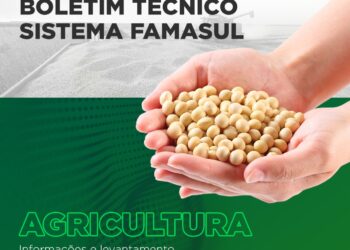 Boletim Técnico do Senar/MS revela 563 mil de hectares de soja colhidos