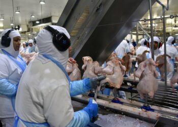 Receita com exportação de industrializados de MS soma US$ 461,4 milhões em janeiro