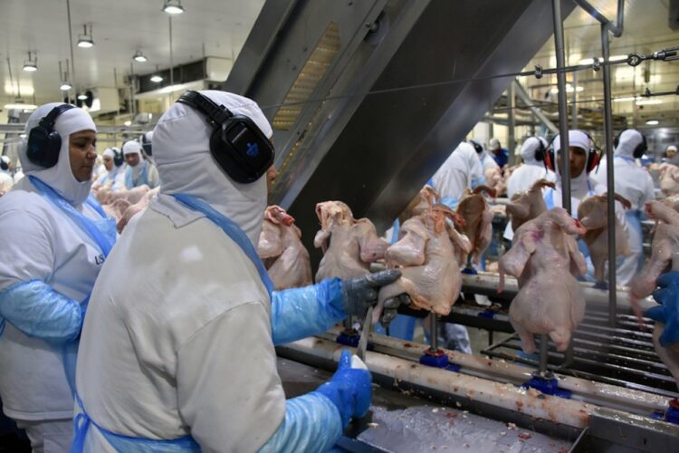Receita com exportação de industrializados de MS soma US$ 461,4 milhões em janeiro