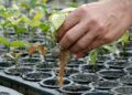 AGRO: Sustentabilidade na indústria madeireira; rumo a práticas responsáveis